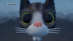 Cat Testing