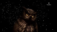 Time Owl