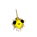 NegatyWYS
