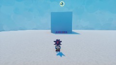 Shadow the hedgehog test