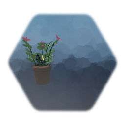 Crown of Thorns Flower