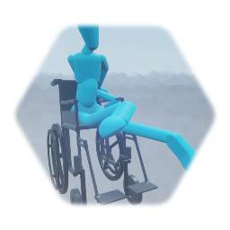 wheelchair man