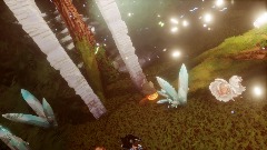 Nature  ilumination