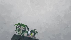 My Creation - 1/6/2023fbbvbfft