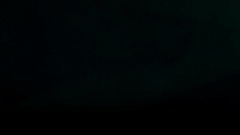 Lazer Raptors Intro/Teaser