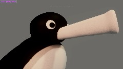 NOOT!NOOT!