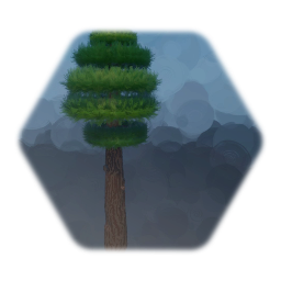 Cedar tree / Pino - Abeto