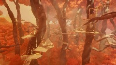 Jet's Forest | Treetop Hideout [B1E10]