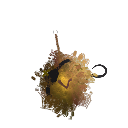 VelociAsher