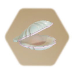 Clam