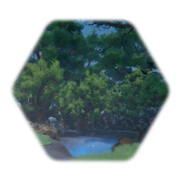Forest with pond