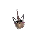 drdin