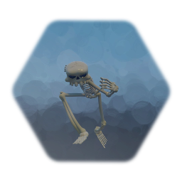 Skeleton