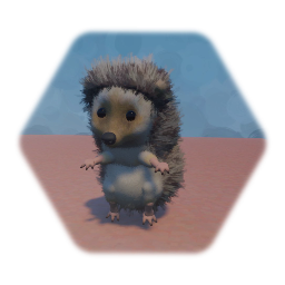 Hedgehog 001