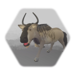 Wildebeest