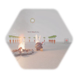 Rabbit Ninja Bunny Starter kit