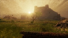 Castle Field (static)