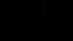 Fnac The Game With The Cat And Mouse