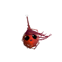 Turtle_27