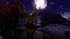 Whites Foxes TEST IV - 17/09/2020