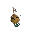 Lucathebeet232