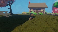 Sackboys farm