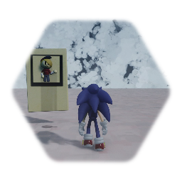Sonic the hedgehog