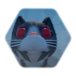 Spider Cat