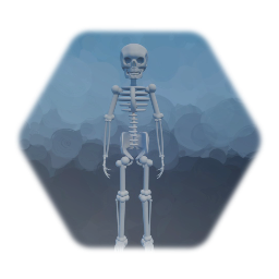 Skeleton