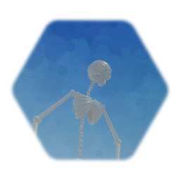 Skeloten _ variation 1.0