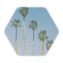 Las Vegas Palm Tree with Fairy Lights