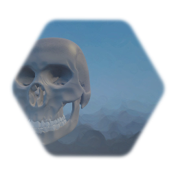 Realistic Female Skull