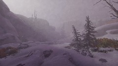 Always Being Watched