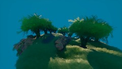 Beautiful Forest Landscape