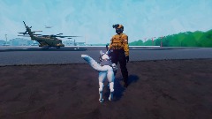 Military dog base