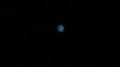 A screenshot taken in Dreams. 5 of 30.