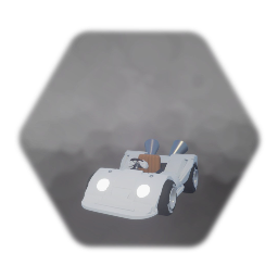 Camera kart 1st persion