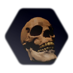 Skull