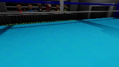 Result Boxing wii sport