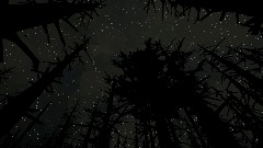 Chernobyl Forest Dark