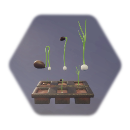Onion: Sprouts & Saplings