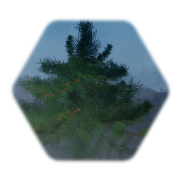An ominously piney tree