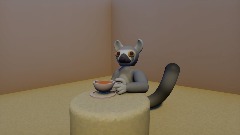 Lemur Cheese
