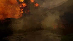 Setting Sun in a Peaceful Forrest