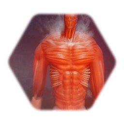 Aot s4  : Colossal Titan