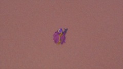 A screenshot taken in Dreams. 2 of 12.