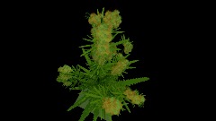 A screenshot taken in Dreams. 4 of 12.