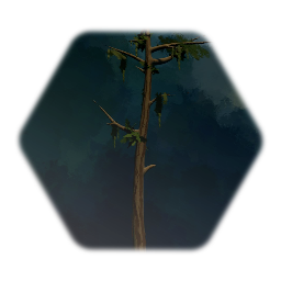 Swamp Tree