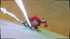 Angry birds in the arcik world