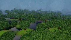 my forest !